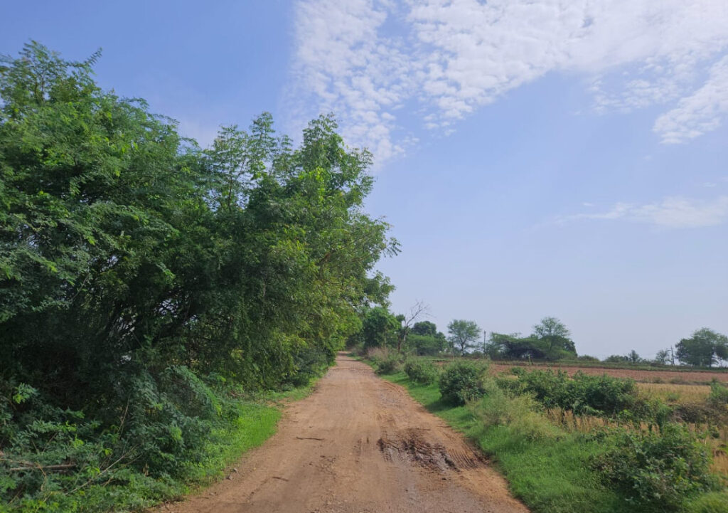 1 Acre 19 Guntas Land for Sale Near Pothireddypalli
