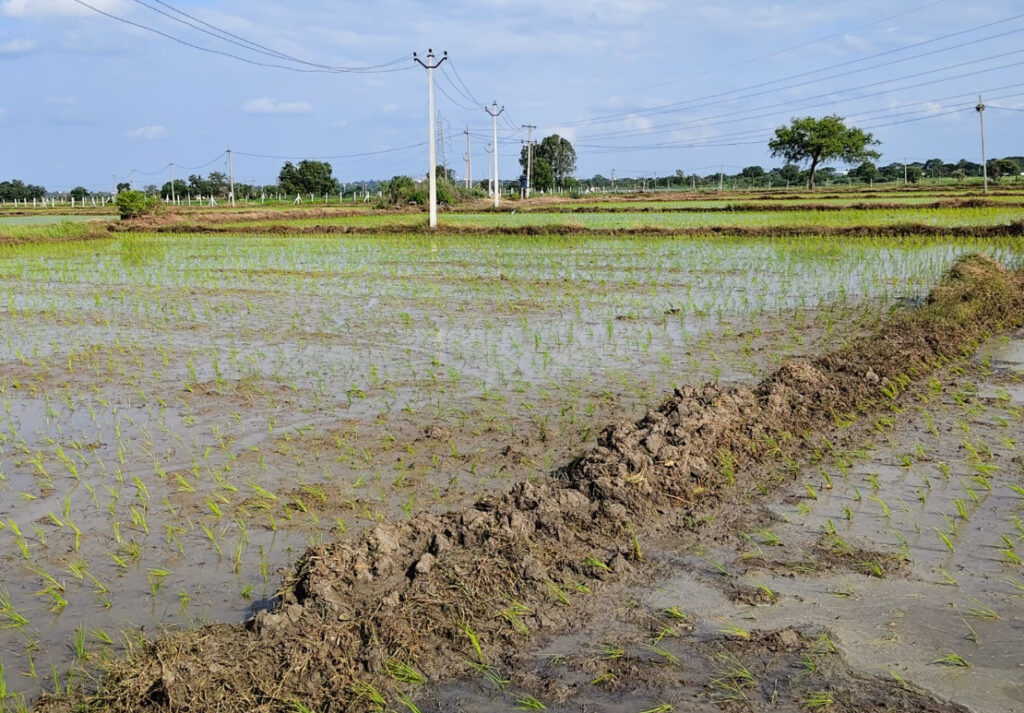 5 Acres 20 Guntas Agricultural Land for Sale Near Jogipet Andole Sangareddy KMLands