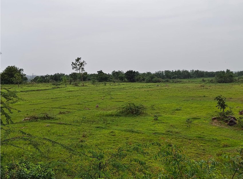 Farm Land Near NH161 Highway