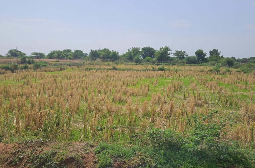 Red Soil Farm Land Near NH161 Highway