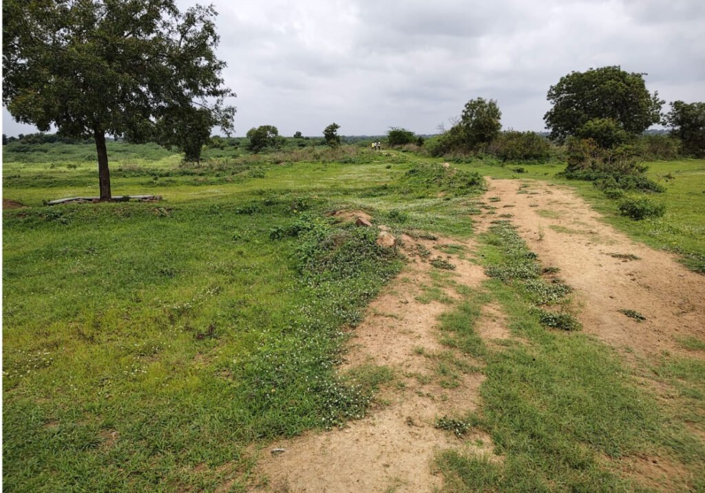 20 Acres Farm Land in Medak District