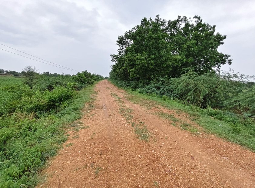 Agricultural Land in Tekmal Medak