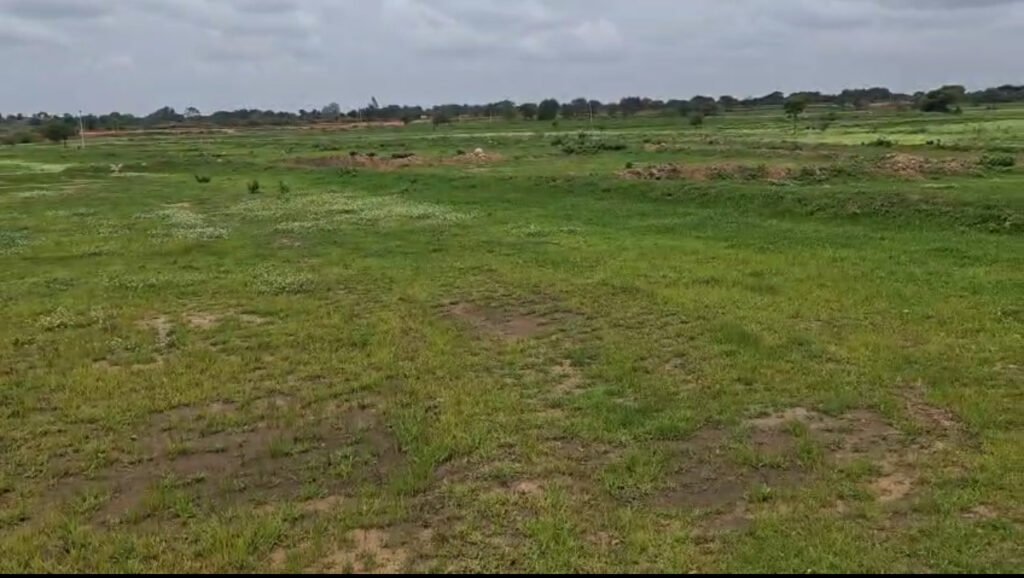 Farm Land in Alladurg Medak