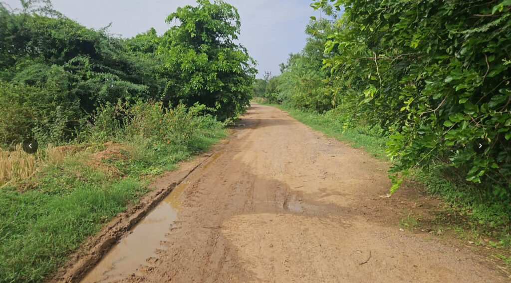 Agricultural Land Near Pothireddypalli