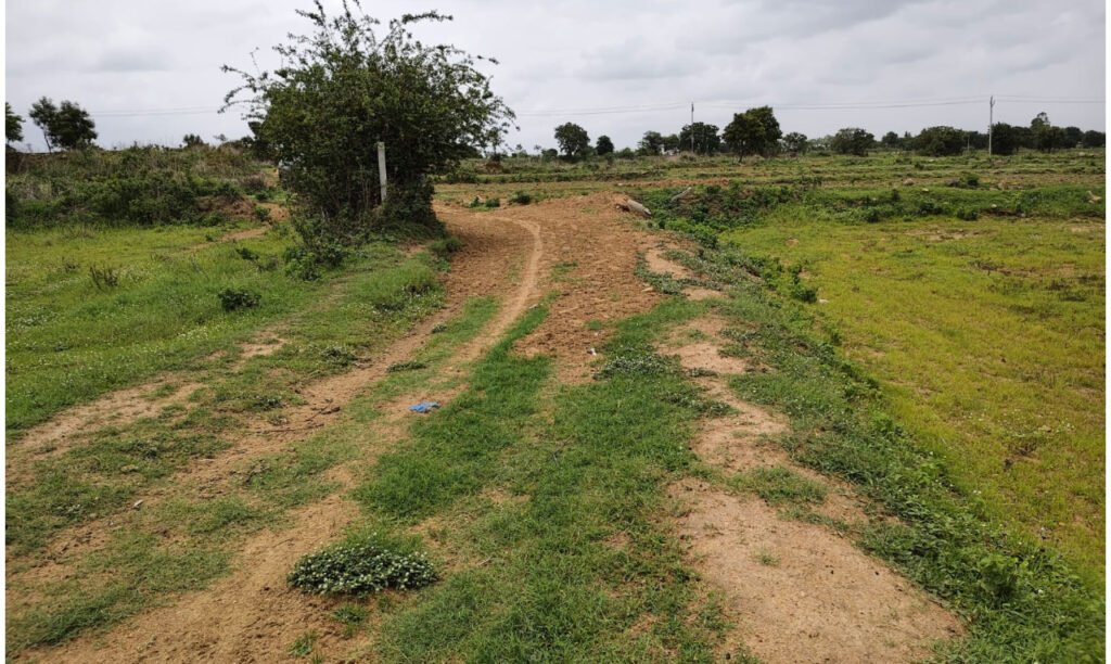 Agricultural Land Near NH161 Highway