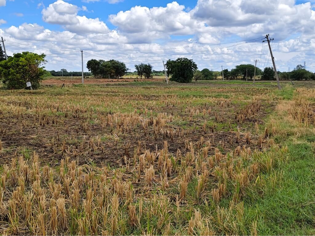 Farm Land for Sale in Chilapched Medak District