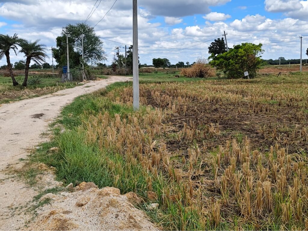 Agricultural Land for Sale in Chilapched Near Jogipet