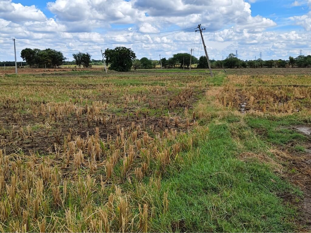 10 Acres Agricultural Land for Sale in Chilapched Medak
