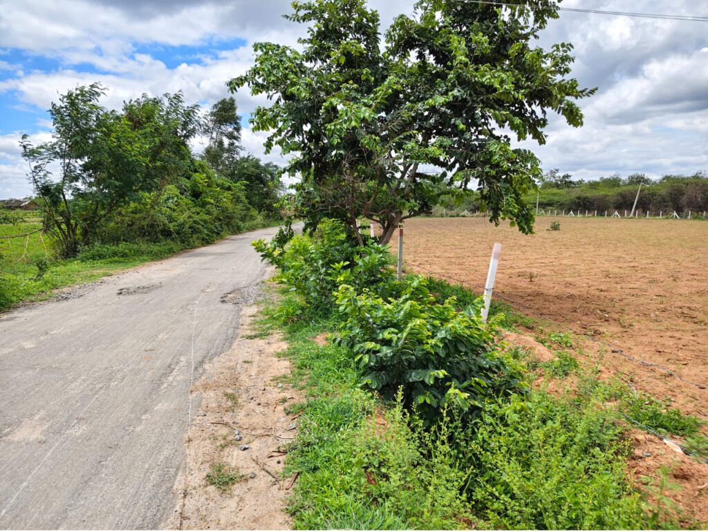 2 Acres Agricultural Land for Sale in Andole