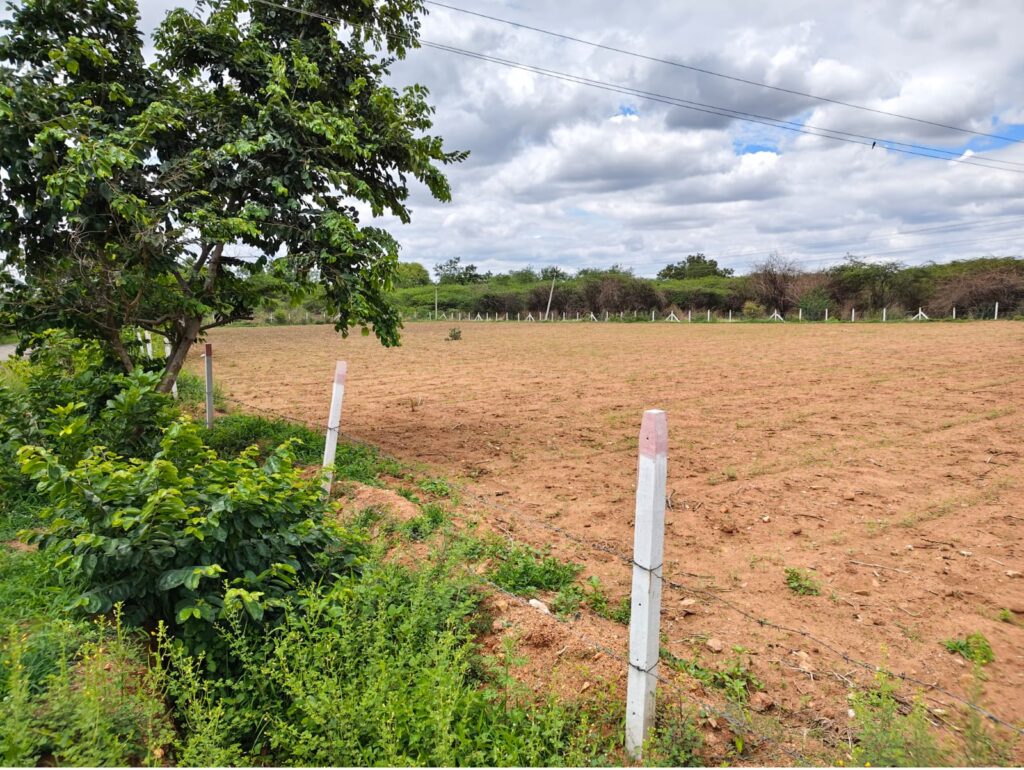 Agricultural Land for Sale in Andole Sangareddy