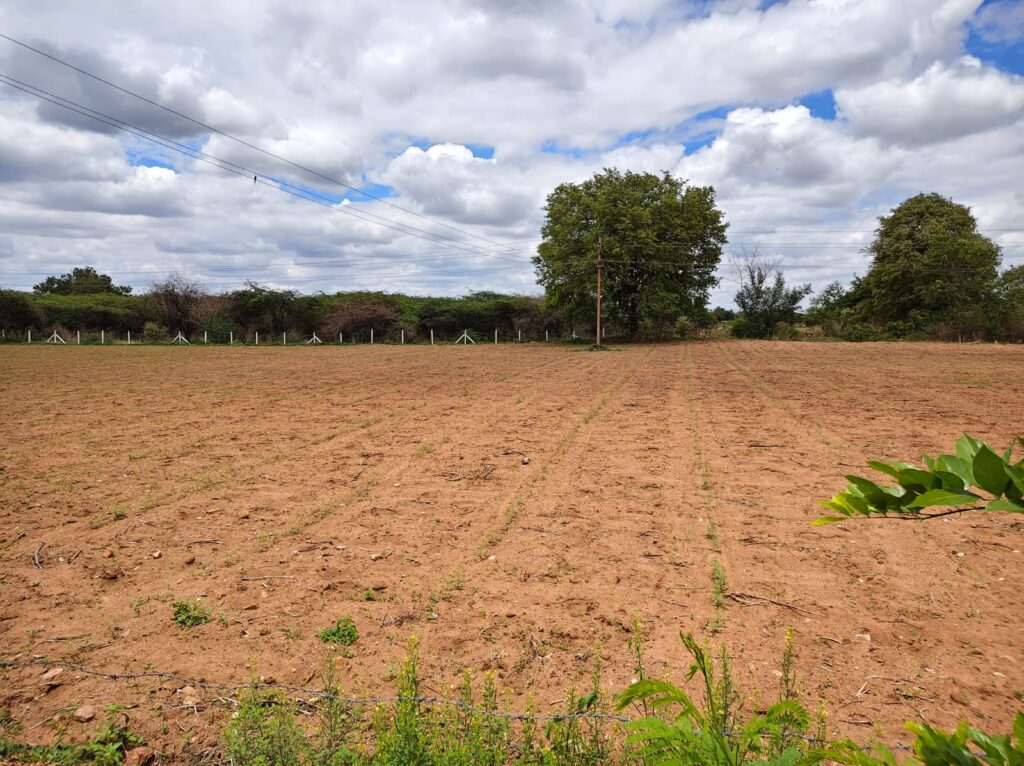 Farm House Land - 2 Acres Agricultural Land for Sale in Andole