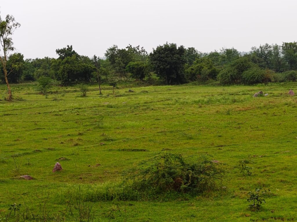 Land with 2 Borewells and Transformer