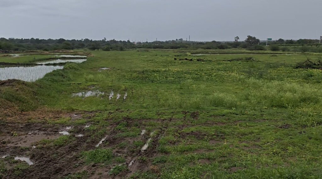 Farmhouse Land Near NH-161