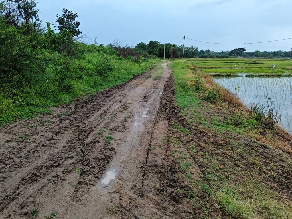 Agricultural Land for Sale in Telangana