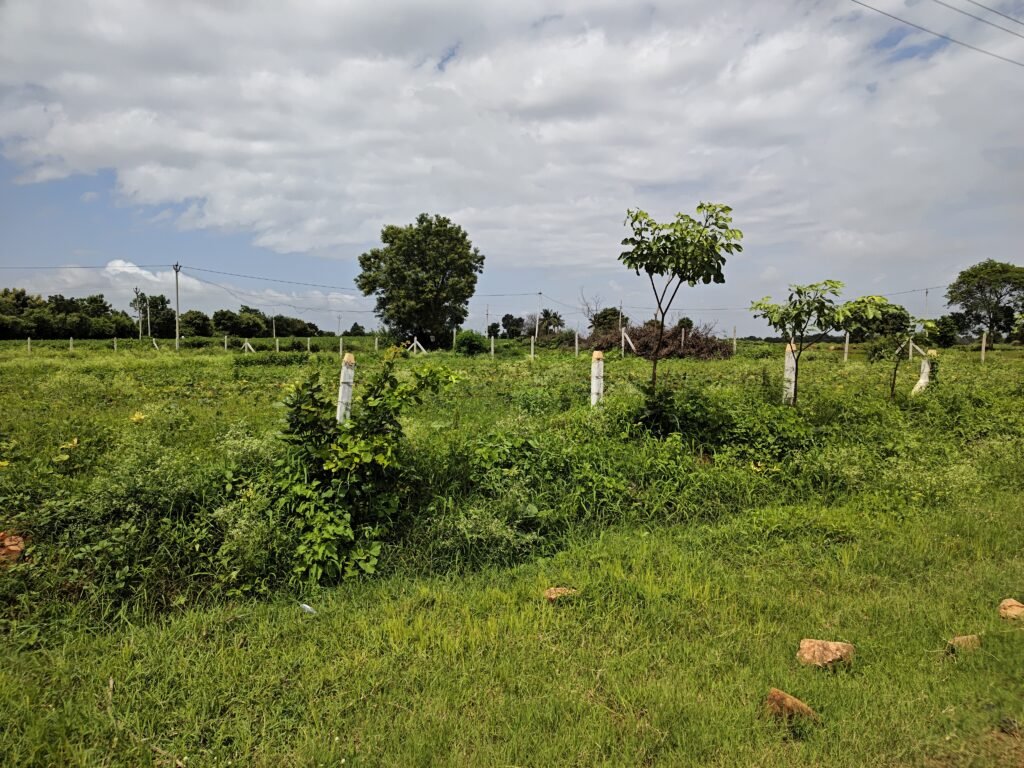 19 Guntas Land in Andole | Highway Road Bit