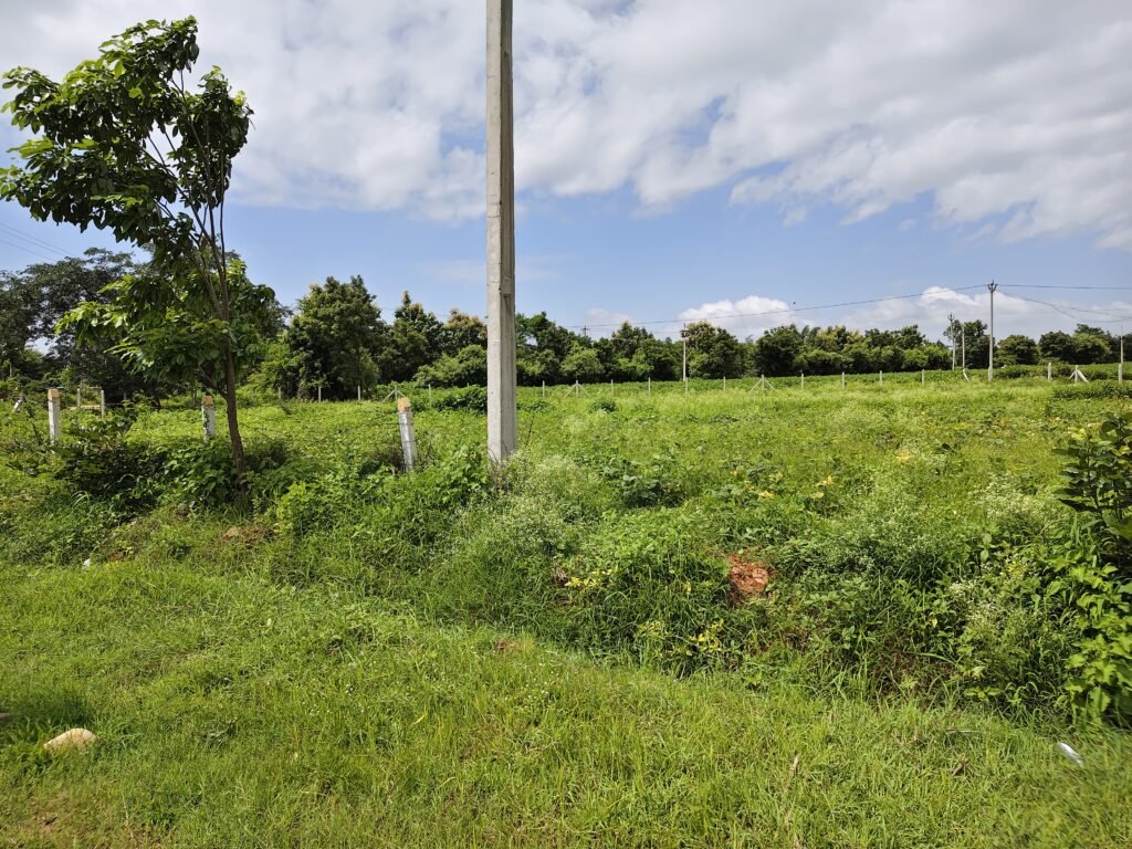 19 Guntas Land Near RRR | Direct Owner | KMLands