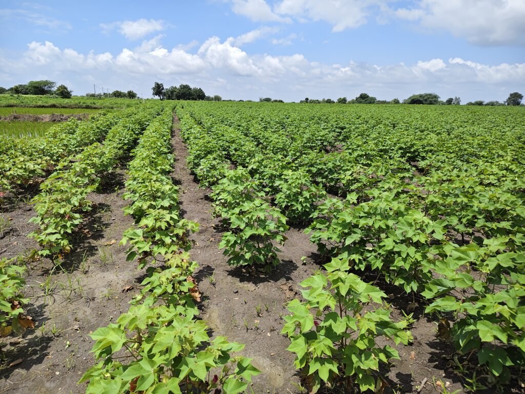 28 Guntas Agriculture Land Near NH-161 Highway at Jogipet
