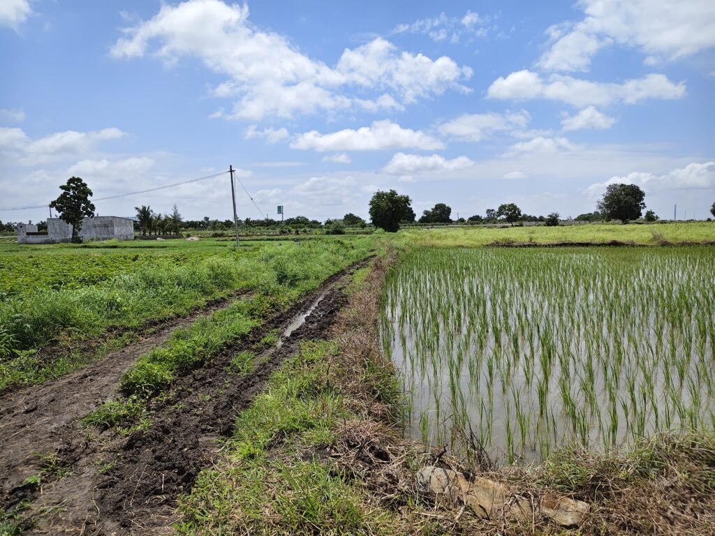 28 Guntas Farm Land for Sale in Andole Mandal Sangareddy