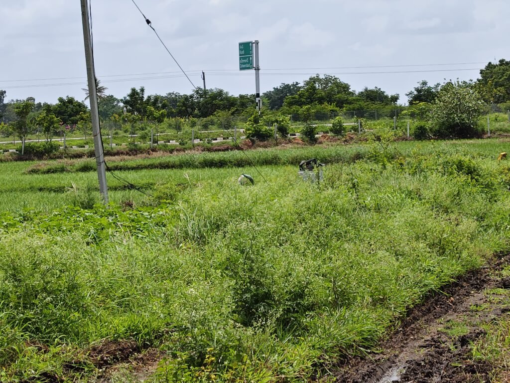 Mango Garden and Lemon Garden Suitable Land Near NH-161