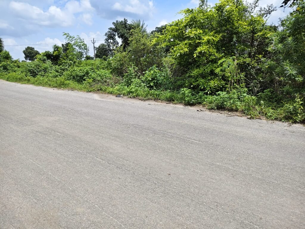 Farm Land in Sangareddy, Dambar Road Bit Land