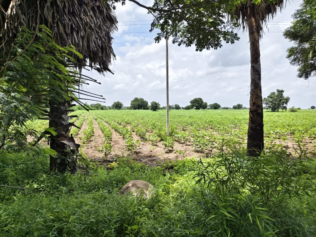 NH161 Nearby Land, Telangana Farm Land, Clear Title Land, Direct Owner Property, KMLands.