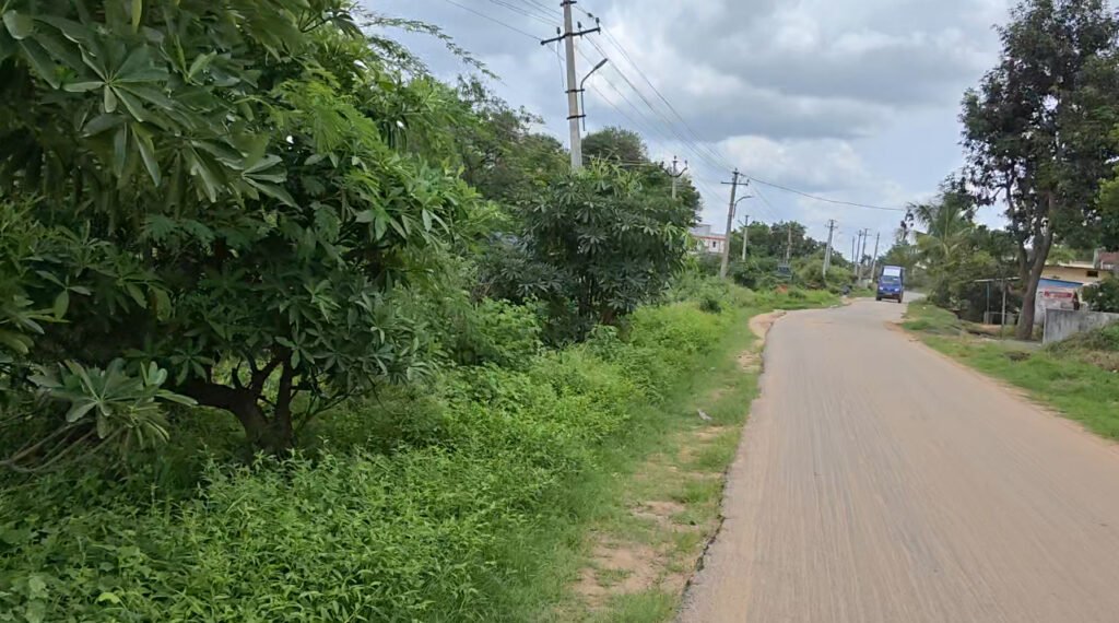 Full Damber Road 14 acres land in Andole