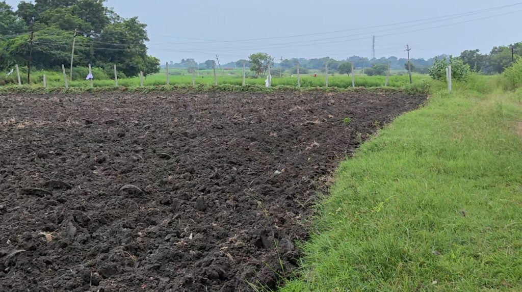 Clear Title Agriculture Land for Sale