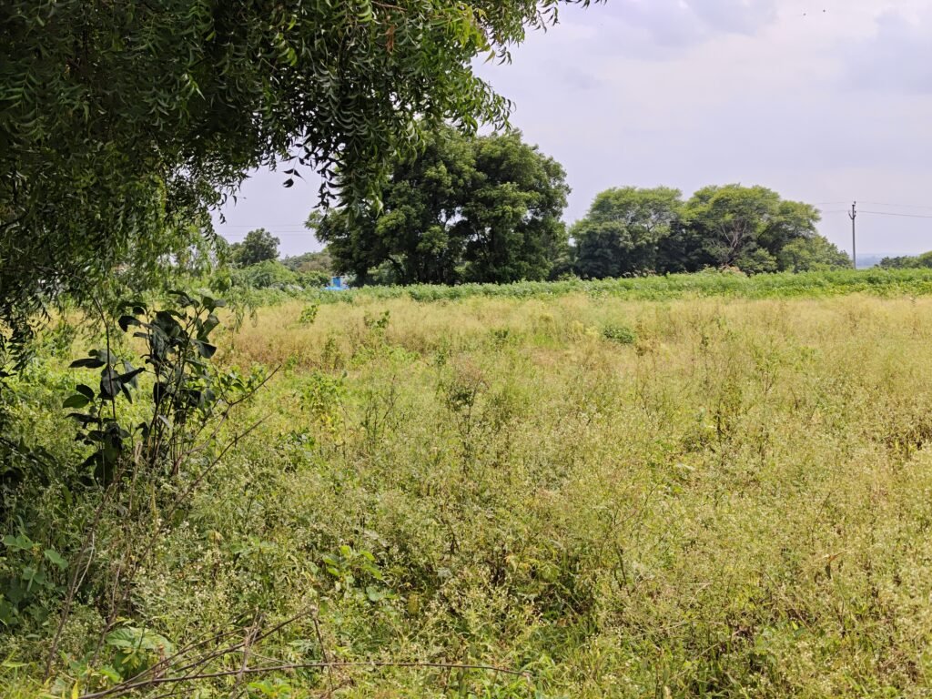 Singur Dam Backwater దగ్గర 4 ఎకరాల వ్యవసాయ భూమి