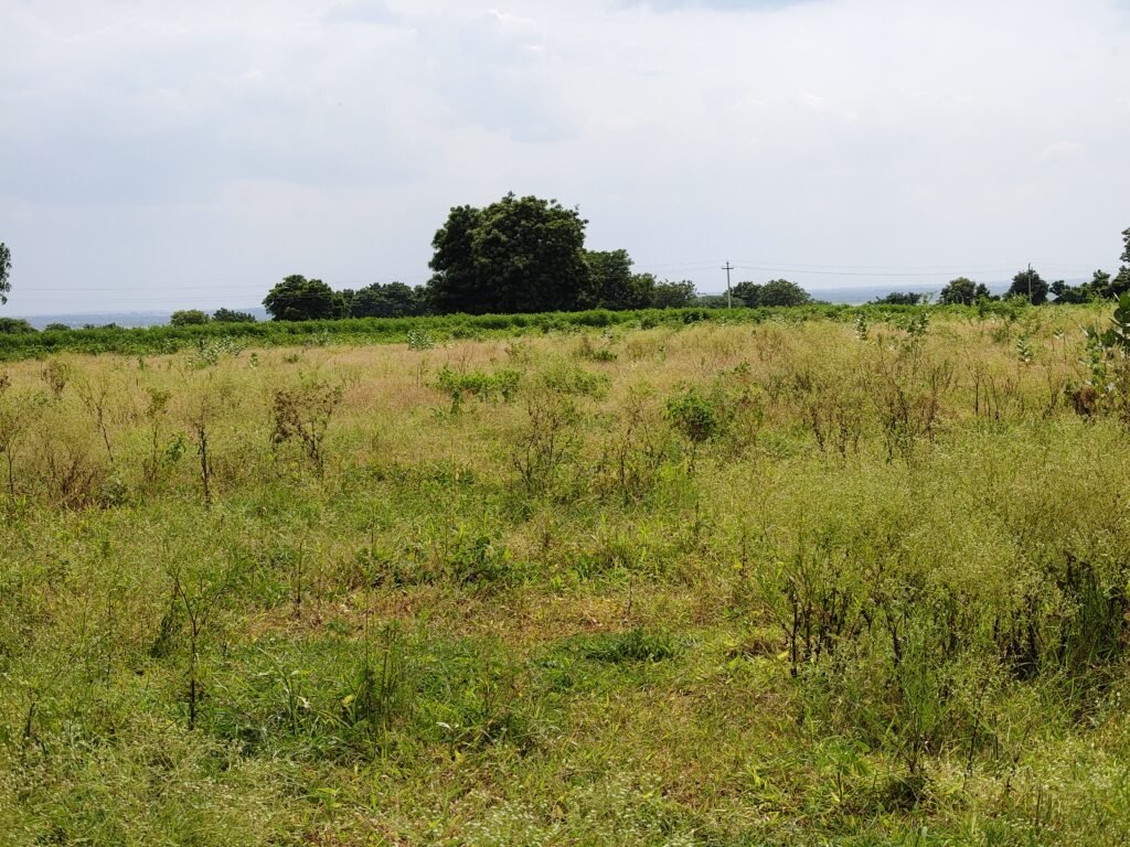 Damber Road Square Bit agricultural land near Marvelli Village