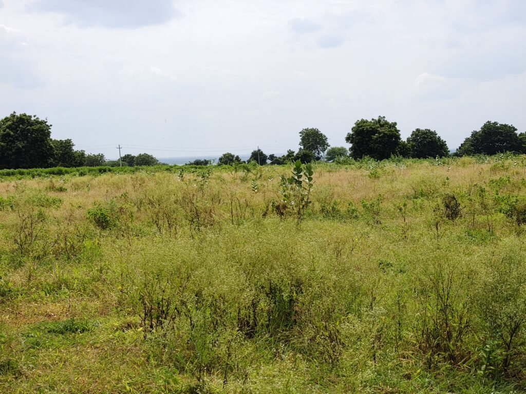 Black soil 4 acres farmhouse land near Singur Dam