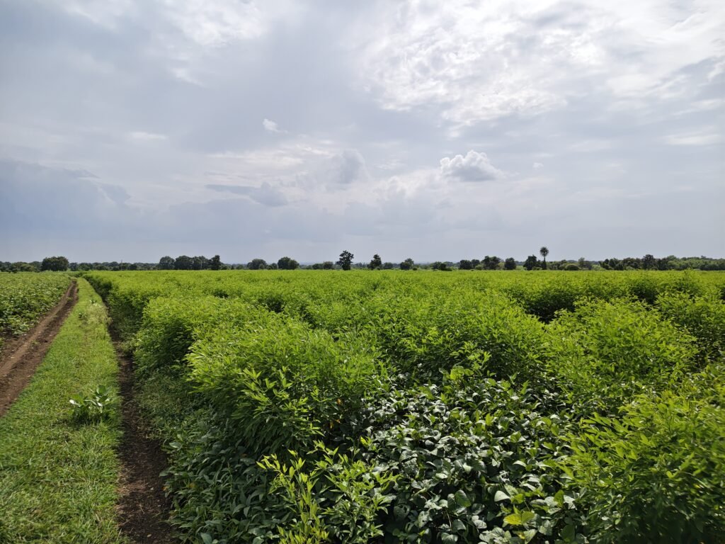 Double Damber Road Bit Land for Sale Sangareddy
