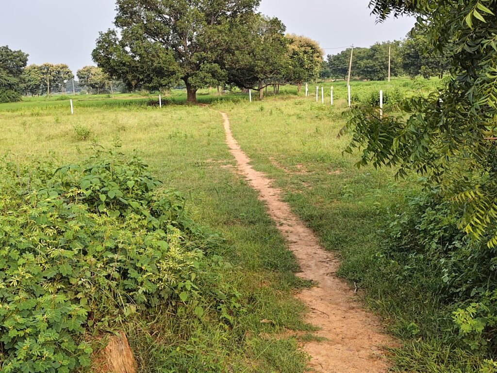 Double Road Damber Road Bit land near Jogipet