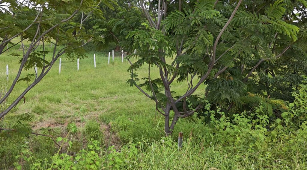 Jogipet సమీపంలో 10 గుంటల land for sale