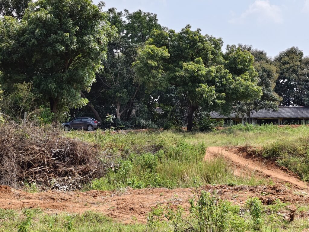 NH-161 సమీపంలో వ్యవసాయ భూమి