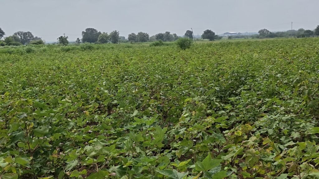 Jogipet సమీపంలో 1 ఎకరం 12 గుంటల Agriculture Land