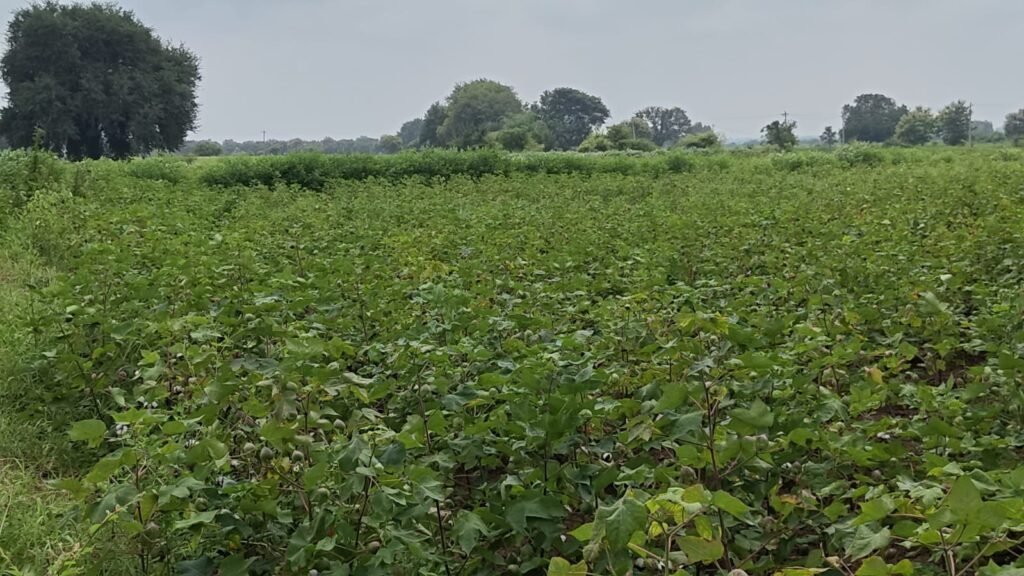 Ramsanpally సమీపంలో Farmhouse Land