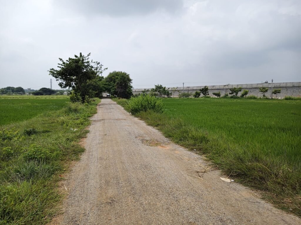 Damber Road Access ఉన్న Agriculture Land