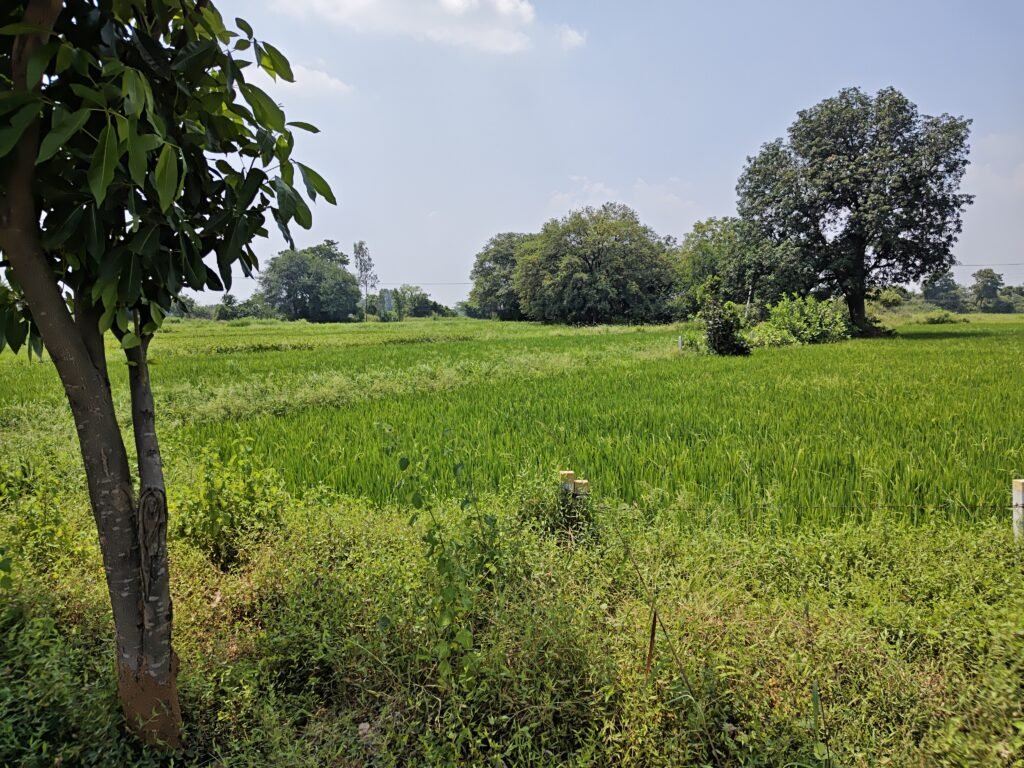 NH-161 Highway Second Bitలో 9 గుంటల భూమి