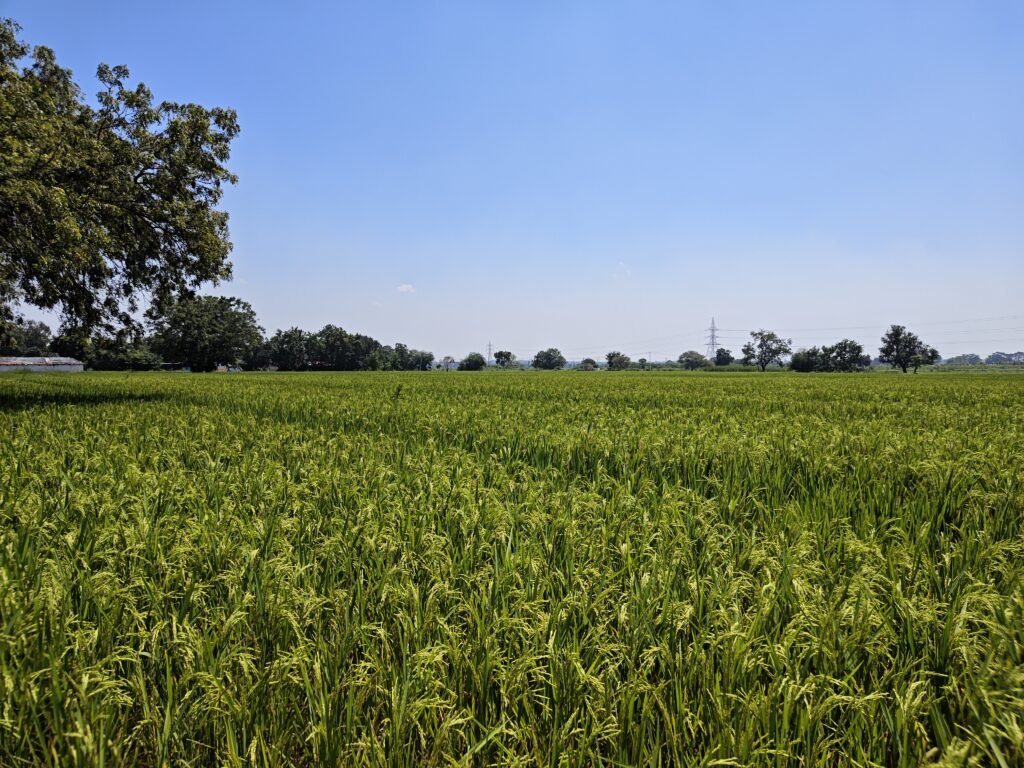 NH-161 Highway దగ్గరలో agriculture land