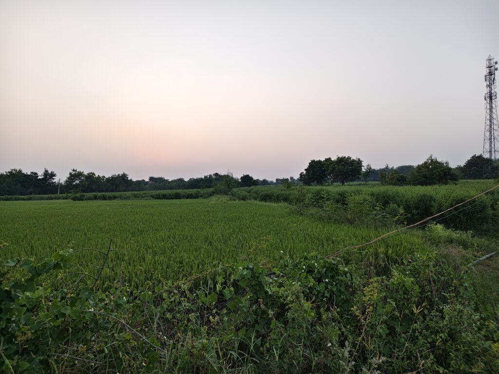 NH-161 హైవే సమీపంలో వ్యవసాయ భూమి