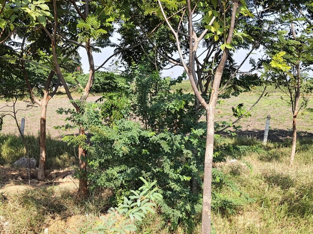 NH-161 Highway Commercial Land for Sale