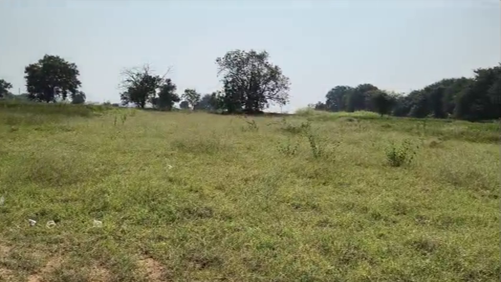 Jogipetలో 24 గుంటల భూమి అమ్మకానికి