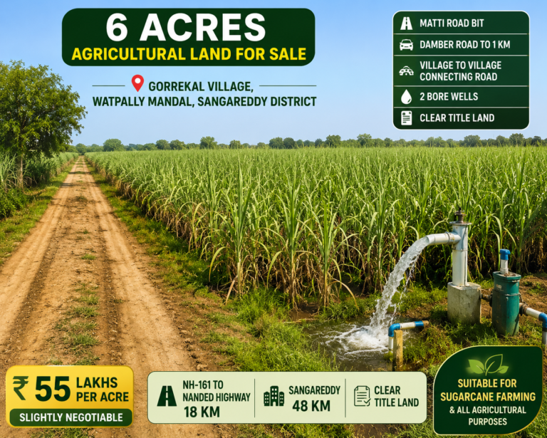 6 Acres Agricultural Land for Sale in Gorrekal Village | Watpally | Sangareddy | KMLands